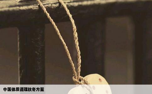 中医体质调理秋冬方案