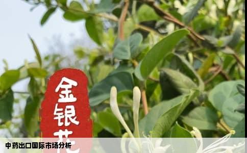中药出口国际市场分析