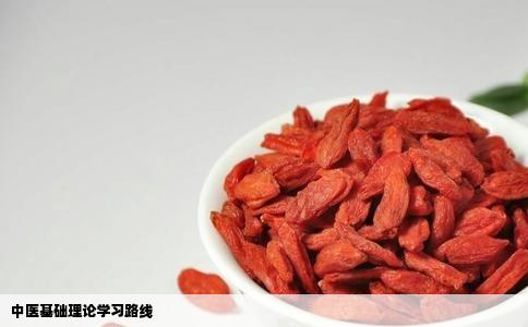 中医基础理论学习路线
