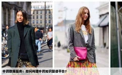 中药数据服务：如何构建中药知识图谱平台？