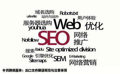 中药跨境服务：出口文件翻译规范与注意事项