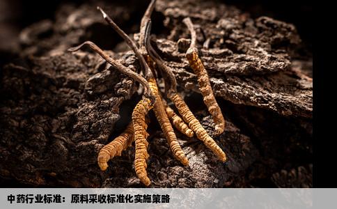 中药行业标准：原料采收标准化实施策略