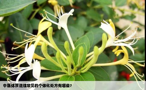 中医体质调理常见的个体化处方有哪些？