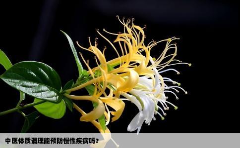 中医体质调理能预防慢性疾病吗？