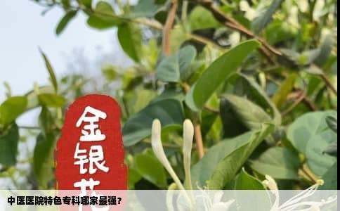 中医医院特色专科哪家最强？