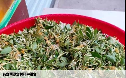 药食同源食材科学组合