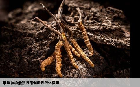中医师承最新政策促进规范化教学