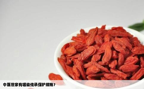 中医世家有哪些传承保护措施？