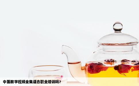 中医教学视频全集适合职业培训吗？
