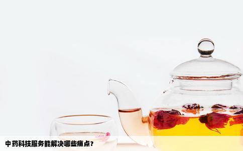 中药科技服务能解决哪些痛点？