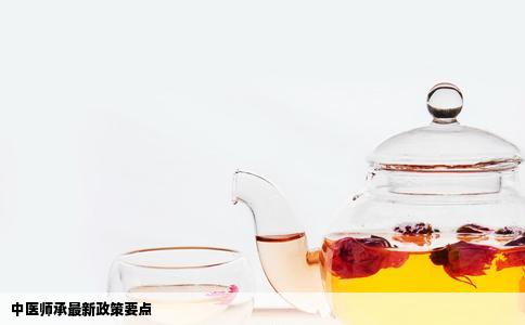 中医师承最新政策要点