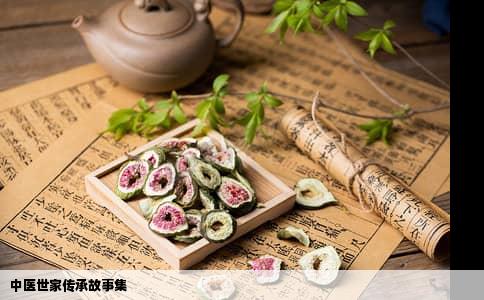 中医世家传承故事集