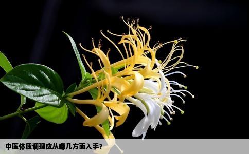 中医体质调理应从哪几方面入手？