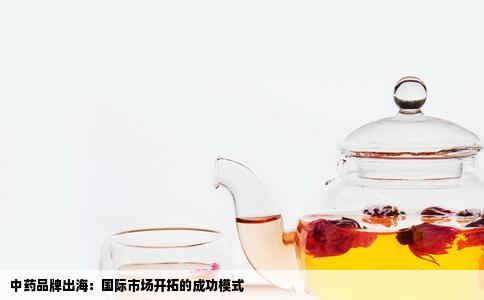中药品牌出海：国际市场开拓的成功模式