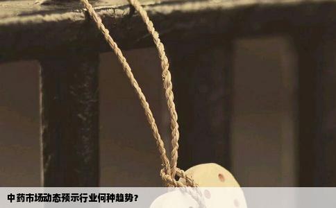 中药市场动态预示行业何种趋势？