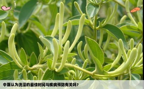 中医认为洗澡的最佳时间与疾病预防有关吗？
