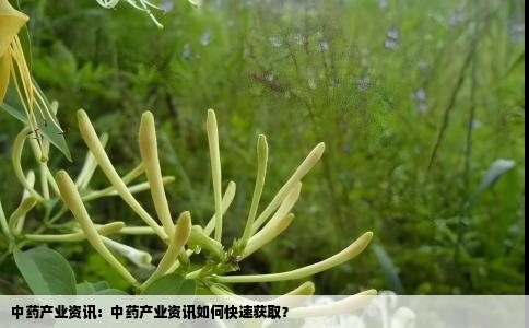 中药产业资讯：中药产业资讯如何快速获取？