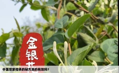中医世家传承的秘方真的有效吗？