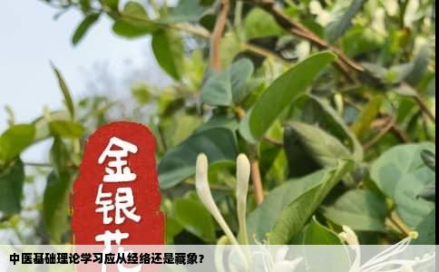 中医基础理论学习应从经络还是藏象？