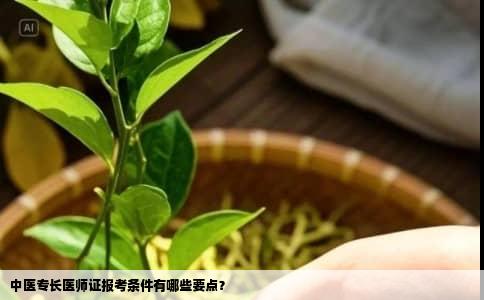中医专长医师证报考条件有哪些要点？