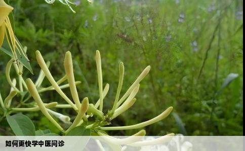 如何更快学中医问诊