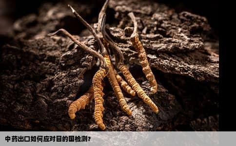 中药出口如何应对目的国检测？