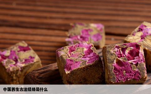 中医养生古法经络是什么