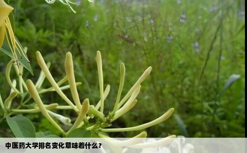 中医药大学排名变化意味着什么？