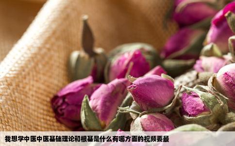 我想学中医中医基础理论和根基是什么有哪方面的视频要最