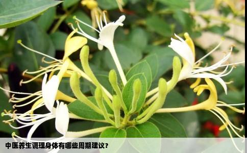 中医养生调理身体有哪些周期建议？