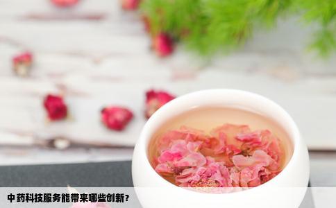 中药科技服务能带来哪些创新？