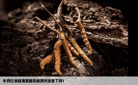 中药行业标准更新后检测方法变了吗？