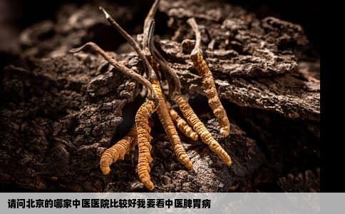 请问北京的哪家中医医院比较好我要看中医脾胃病