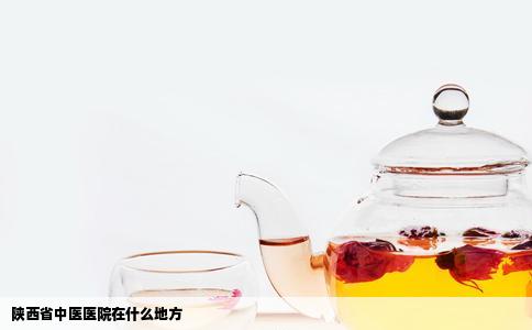 陕西省中医医院在什么地方