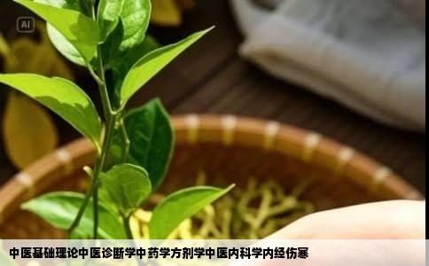 中医基础理论中医诊断学中药学方剂学中医内科学内经伤寒