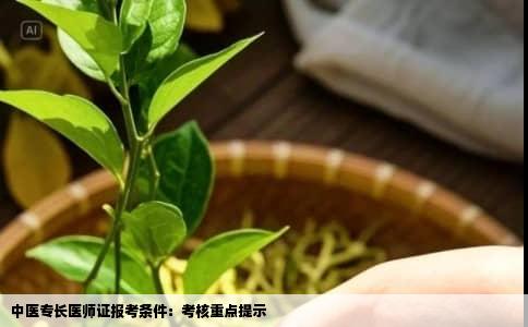中医专长医师证报考条件：考核重点提示