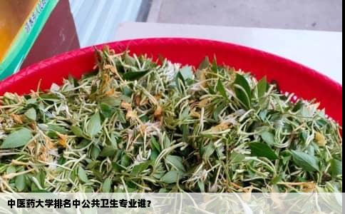 中医药大学排名中公共卫生专业谁？