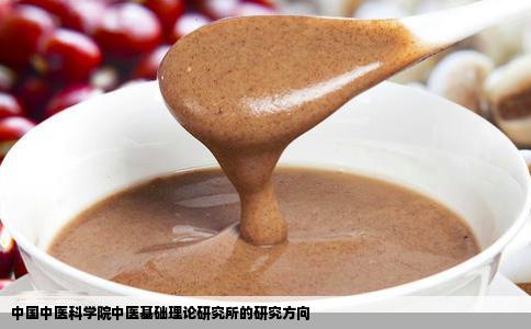 中国中医科学院中医基础理论研究所的研究方向