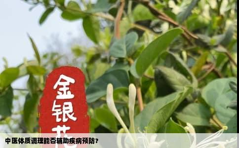 中医体质调理能否辅助疾病预防？