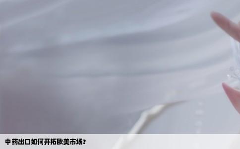 中药出口如何开拓欧美市场？