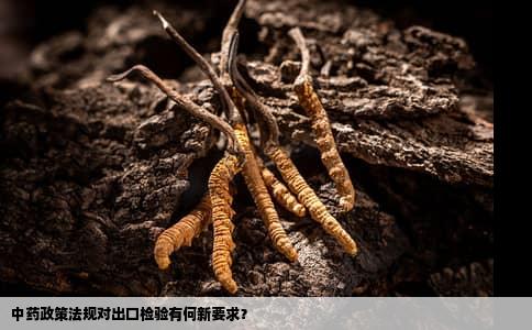 中药政策法规对出口检验有何新要求？