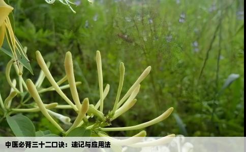 中医必背三十二口诀：速记与应用法