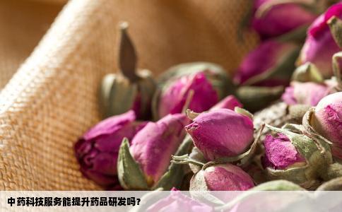 中药科技服务能提升药品研发吗？