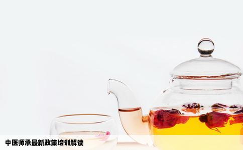 中医师承最新政策培训解读