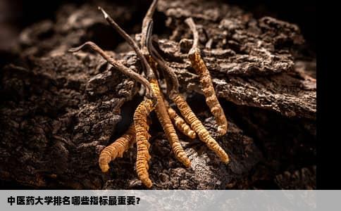 中医药大学排名哪些指标最重要？