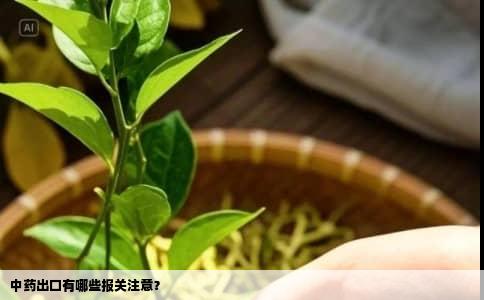 中药出口有哪些报关注意？