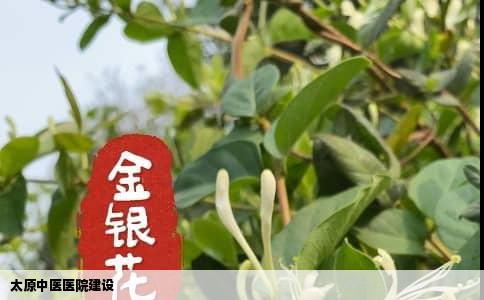 太原中医医院建设