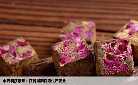 中药科技服务：在线监测保障生产安全