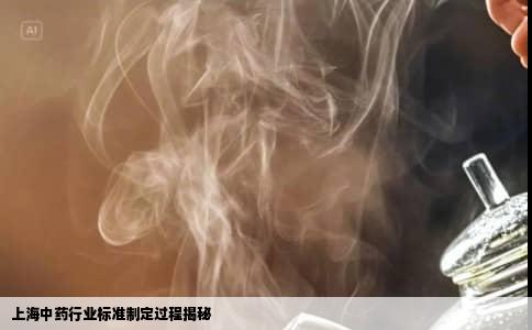 上海中药行业标准制定过程揭秘