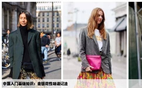 中医入门基础知识：金银花性味速记法